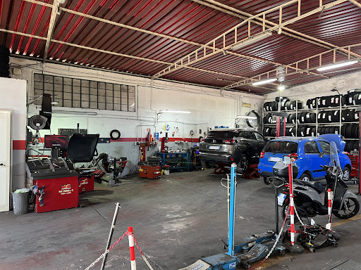 Centro Autoservizi Srl Gallery - Italy