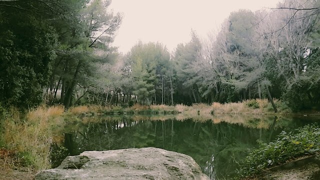Golf Club de Miramas