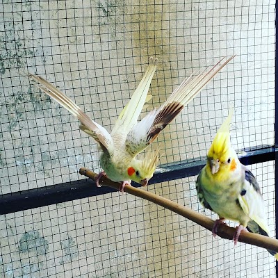 Photos of J1 Bird Farm