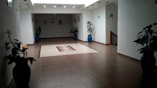 Hotel Samil - Visual