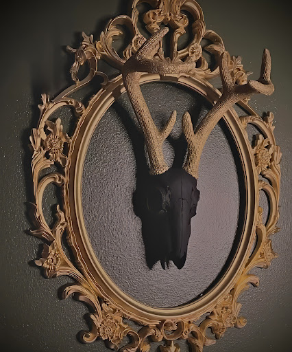 Auburn Veil Studio, LLC - Thumbnail