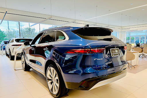 Jaguar Frisco - Thumbnail