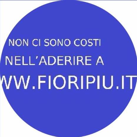 fioripiu.it - Visual
