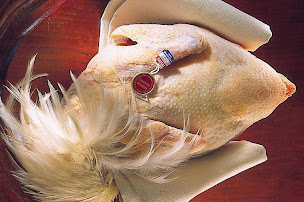 Photo n°12 de Au Faisan Doré à Brest (Producteur de foie gras)