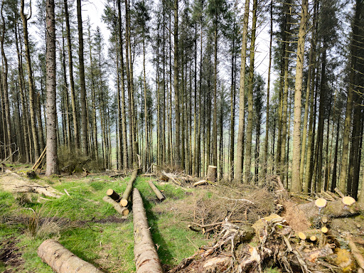 Forest of Bowland National Landscape - Thumbnail
