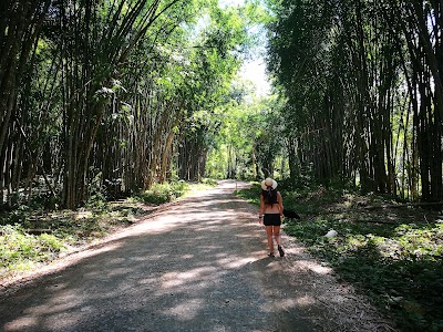 Photos of Osa de Rio