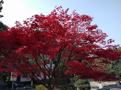 Photos of Cartoon Paradise of Nanjiao Park