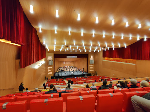 Auditorio Baluarte - Visual