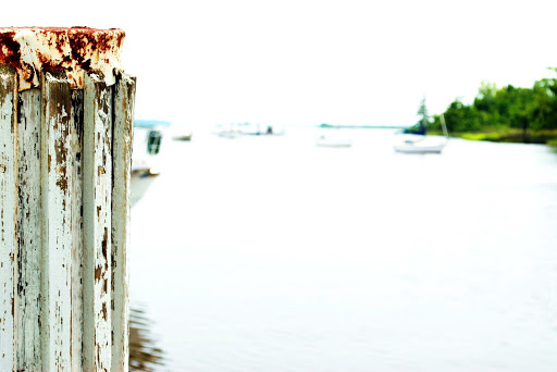 Avatar for Black Dog Renovation & Repair