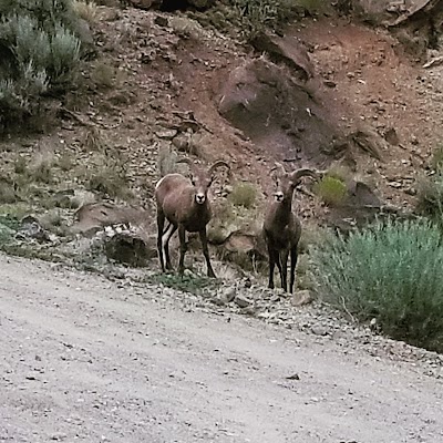 Rift Valley Trailhead Parking Area