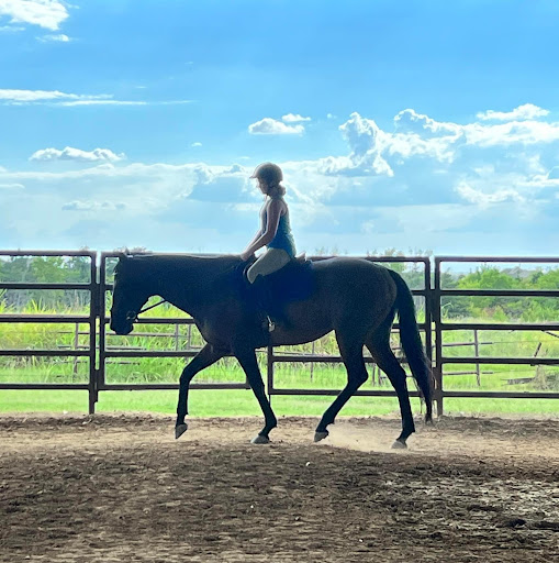 Willow Farm - Visual