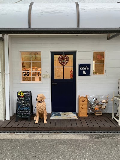 DogSalon Kanoa（ドッグサロン カノア）