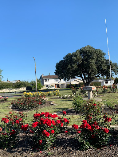 Taradale Clock Tower - Thumbnail