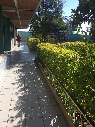 Escuela Manuel Lopez Cotilla Urbana 388 - Thumbnail