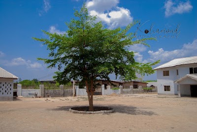 Photos of Colony Hostels