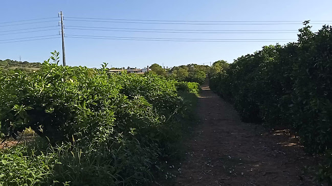 Quinta Da Mesquita turismo rural - Hotel