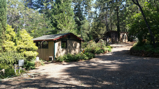 Squatch Ranch - Visual
