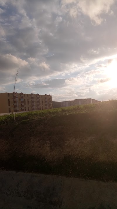 Photos of محكمة تاورة
