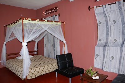 Photos of Hotel Nautile