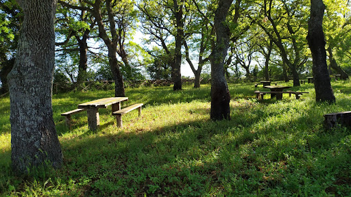 Parco di Poggio della Rotonda