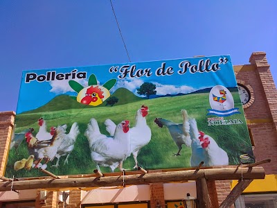 Photos of Flor de Pollo