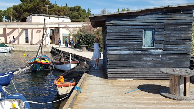 Musée de l'Etang de Thau