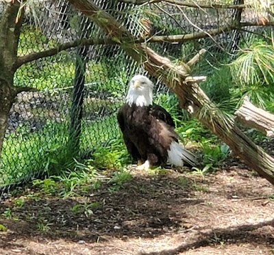 Bergen County Zoo