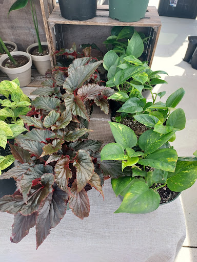 Richmond MN Farmers Market - Thumbnail