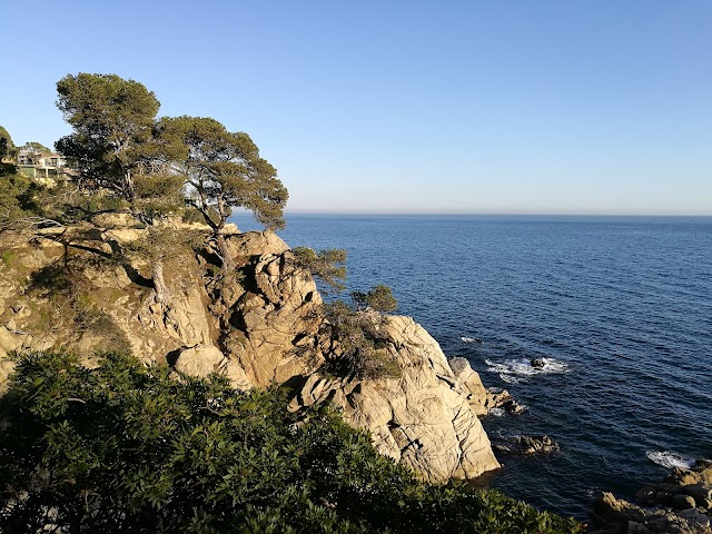 Cala Trons