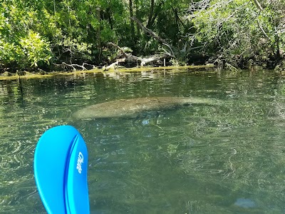 Photos of Chassahowitzka River Campground
