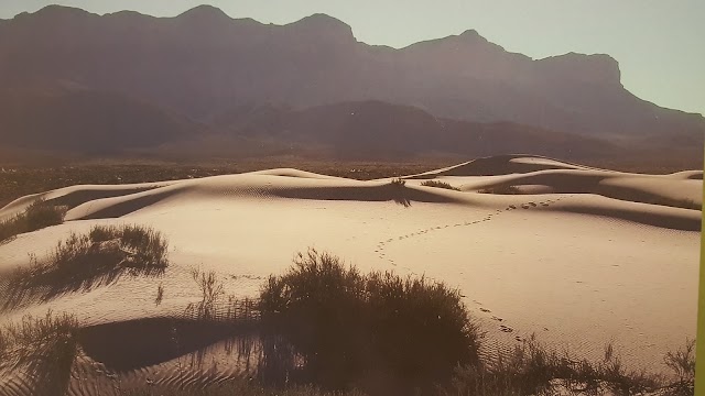 White Sands Visitor's Center