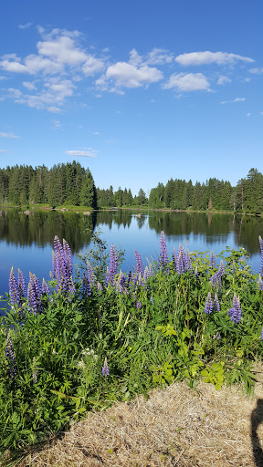 Rutån - Visual