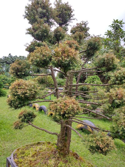 Photos of Ecoparque Los Yarumos