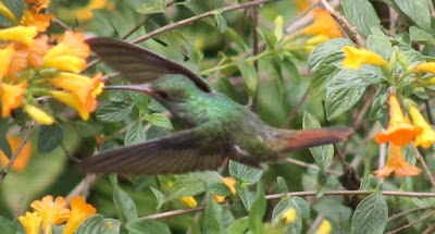 Photos of Finca Agualinda