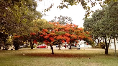 Photos of Paseo Los Pioneros