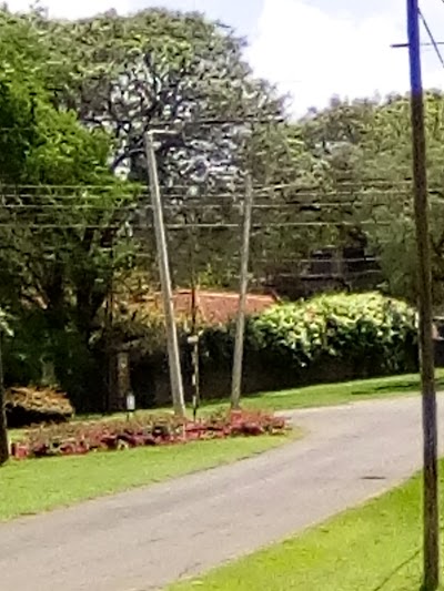 Photos of Sepan Gorge Resort