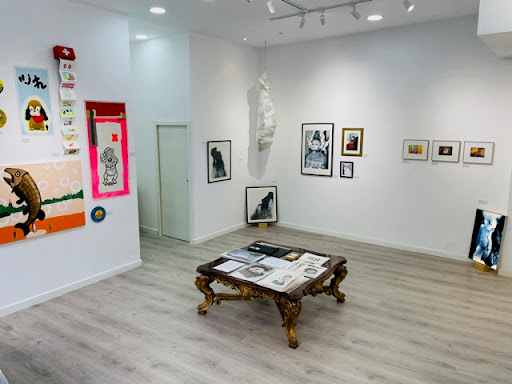 NÍTIDO gallery - Visual