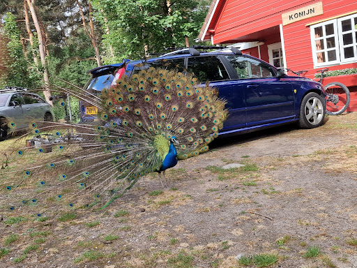 Parkeerplaats Heldense Bossen
