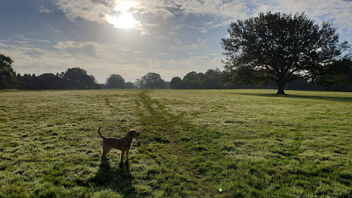 Stoke Lodge Playing Field - Thumbnail