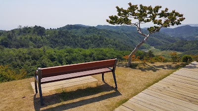Photos of 고포터널