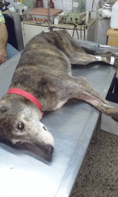 Photos of VETERINARY CLINIC TROPEZON