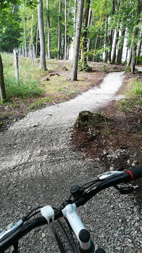 Singleton MTB Track - Kompleks sportowy