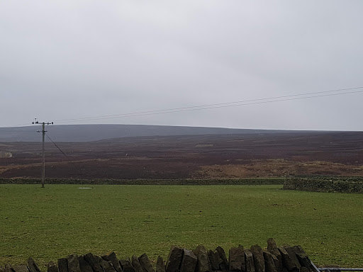 Brushfield - Visual