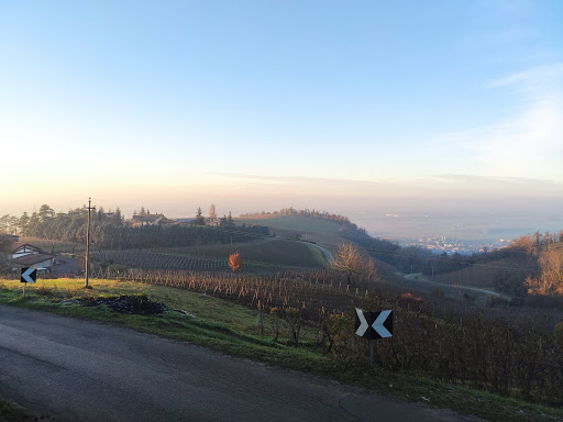 Az Agricola Milanesi Stefano - Thumbnail
