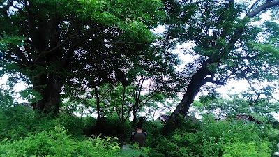 cemetery