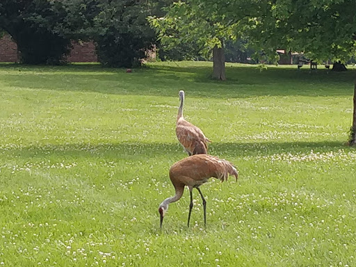 Deer Grove East - Thumbnail
