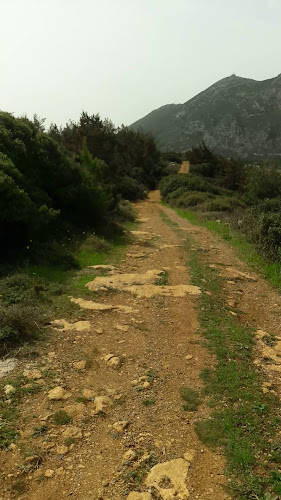 Επάνω Αρχάνες 701 00