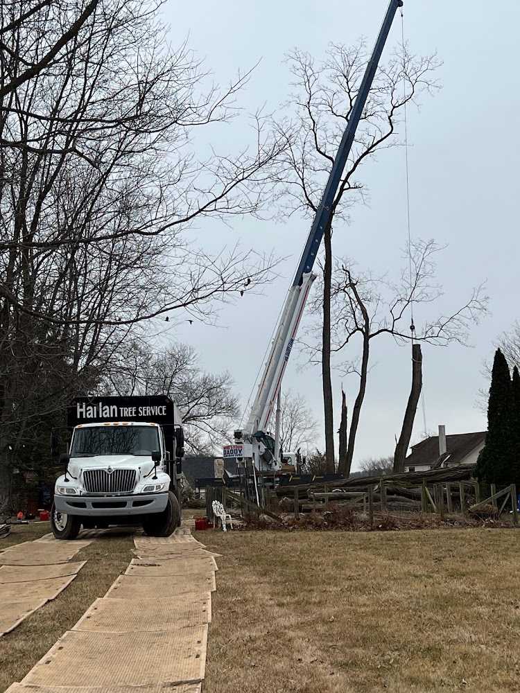 Harlan Tree Service – photo 2 of 3