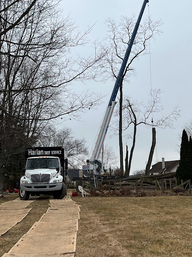 Harlan Tree Service