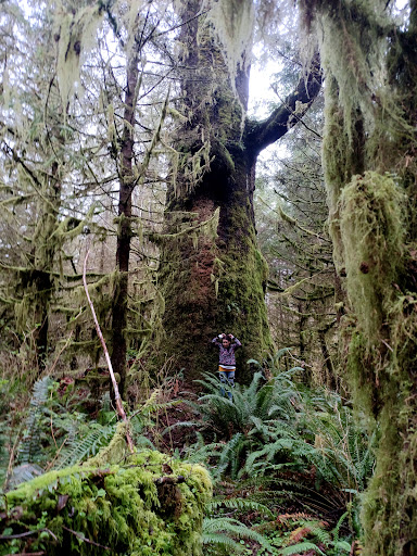 Strome County Park - Thumbnail